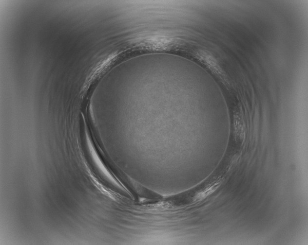 X0000059090493200510101148