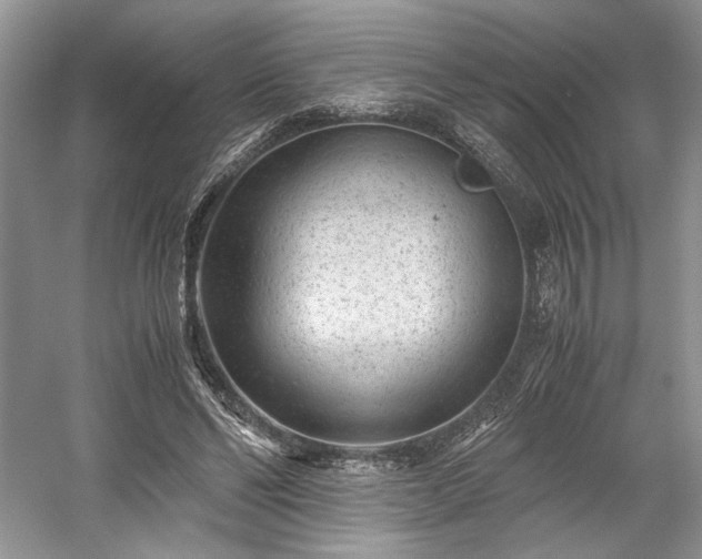 X0000059090494200510101148