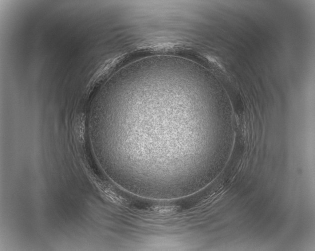 X0000059090495200510101148