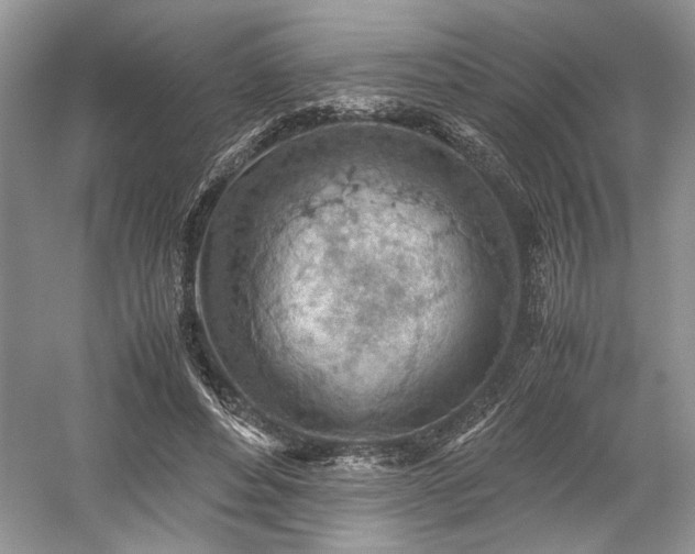 X0000059090496200510101148