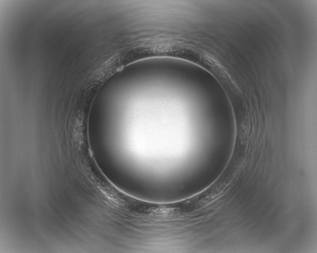 X0000059090497200510101148