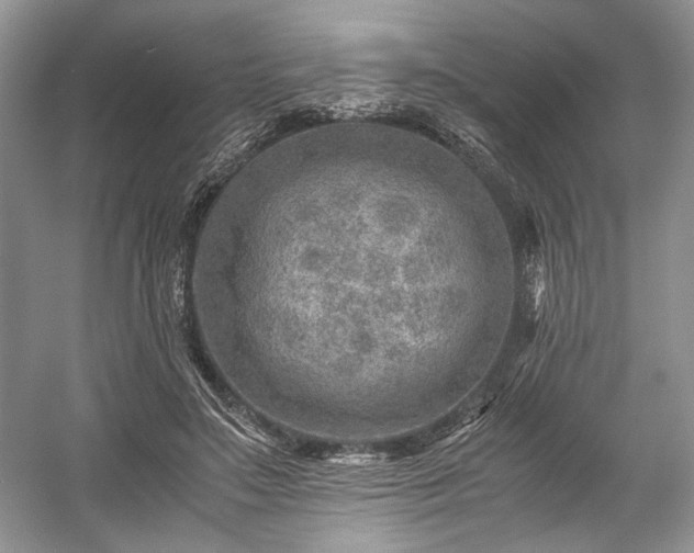 X0000059090499200510101148