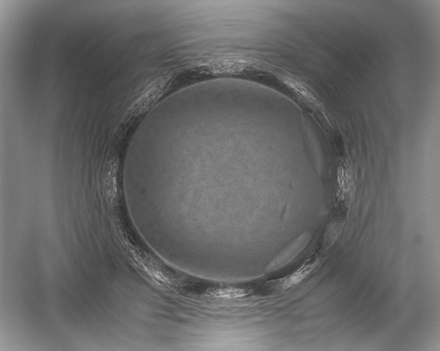 X0000059090501200510101148