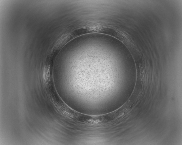 X0000059090502200510101148