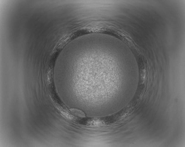 X0000059090503200510101148