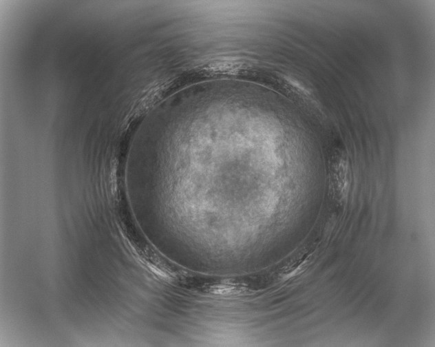 X0000059090504200510101148