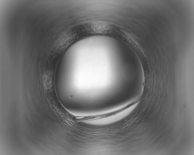 X0000059090505200510101148