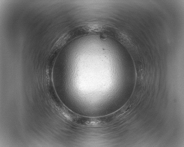 X0000059090506200510101148