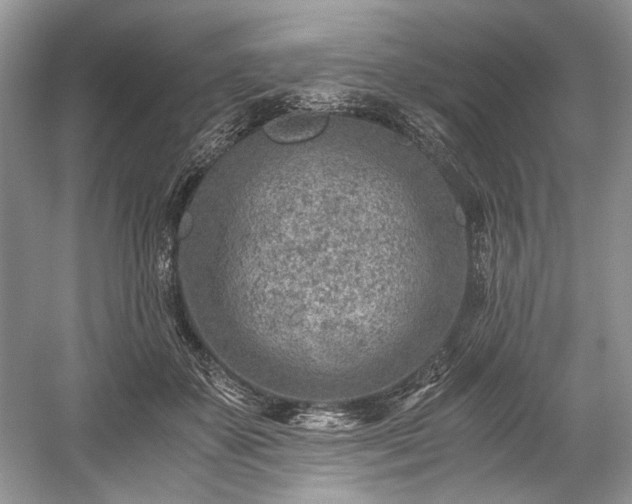 X0000059090507200510101148