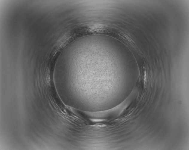 X0000059090508200510101148