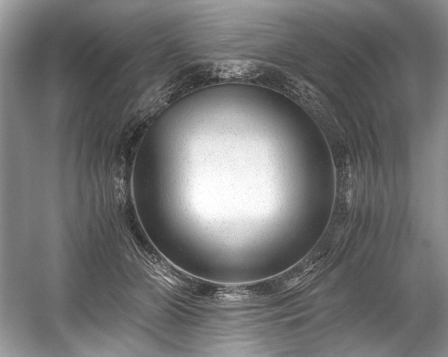 X0000059090510200510101148