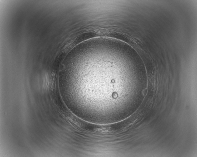 X0000059090511200510101148