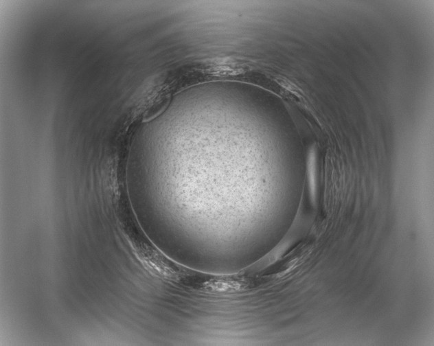 X0000059090512200510101148