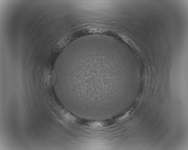 X0000059090513200510101148