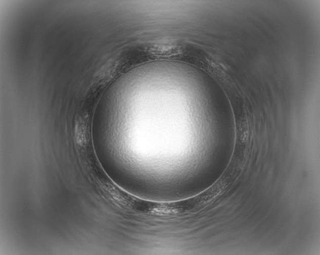 X0000059090515200510101148