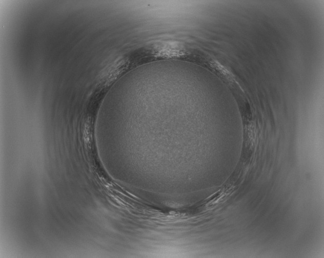 X0000059090517200510101148