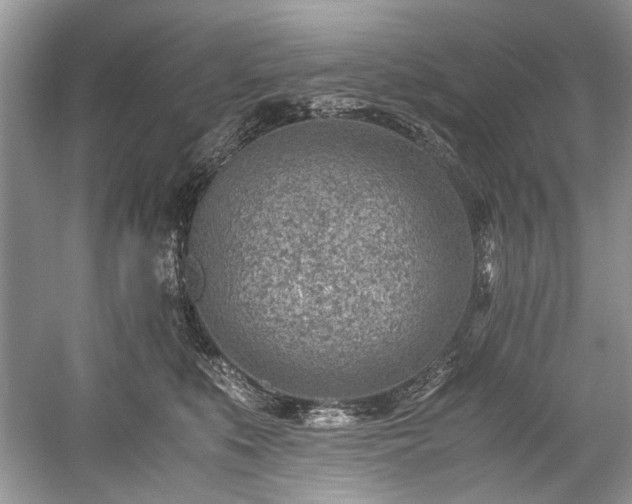 X0000059090519200510101148