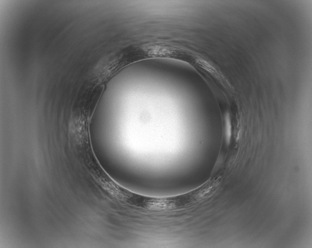 X0000059090521200510101148