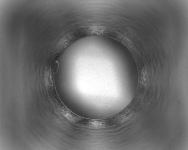 X0000059090522200510101148