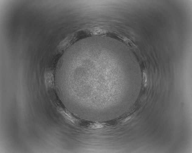 X0000059090523200510101148