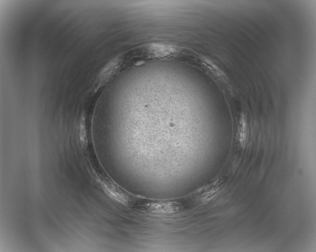 X0000059090524200510101148