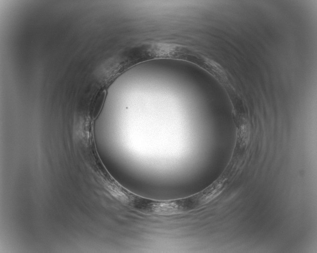 X0000059090525200510101148