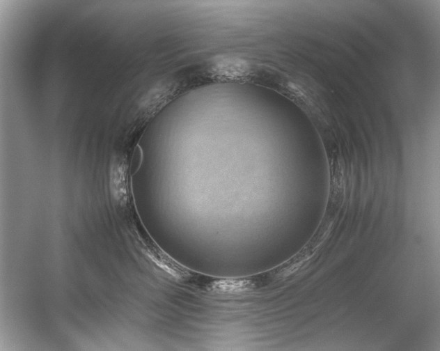 X0000059090526200510101148