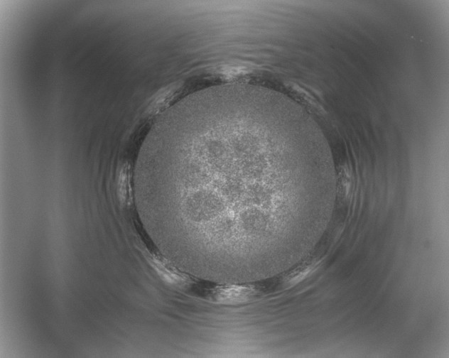 X0000059090527200510101148