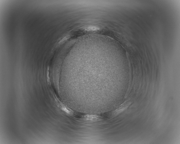 X0000059090528200510101148