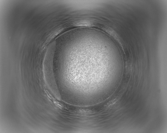 X0000059090529200510101147