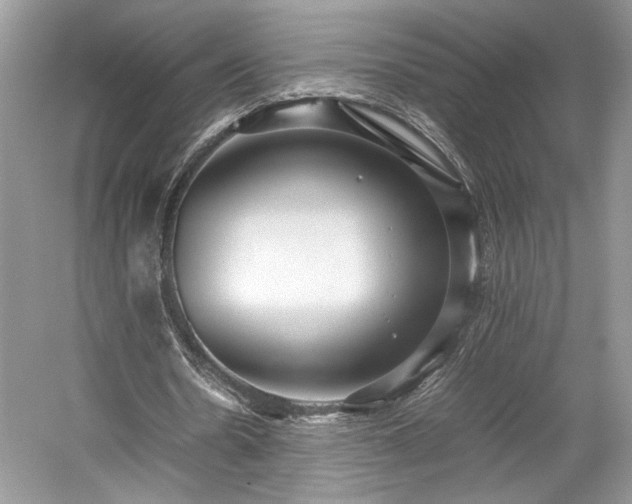 X0000059090530200510101147