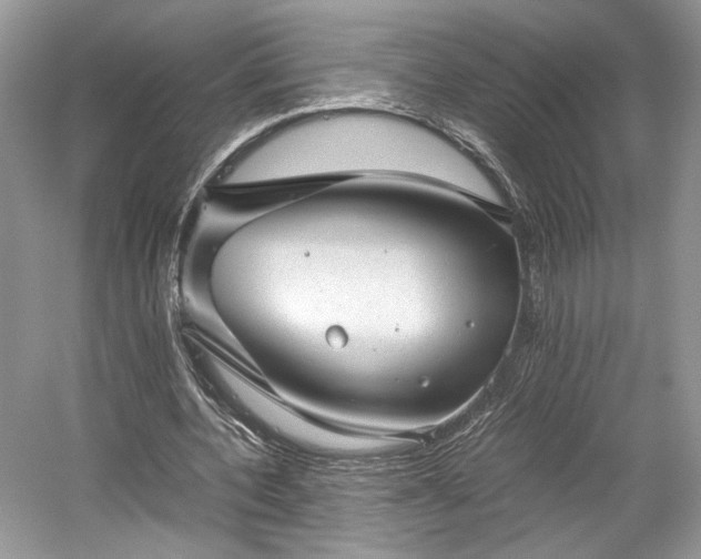 X0000059090532200510101147