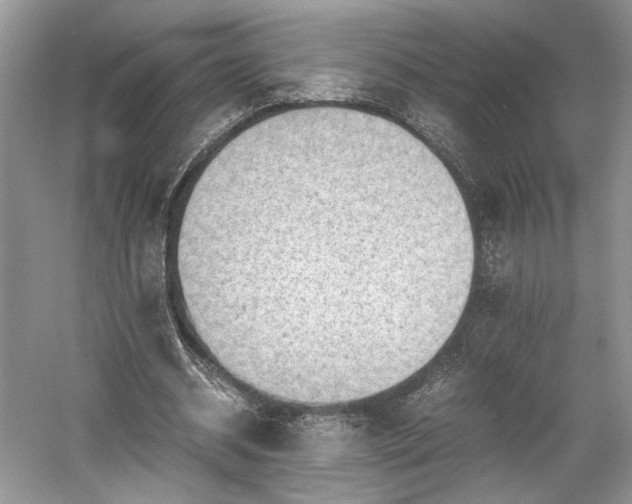 X0000059090534200510101147