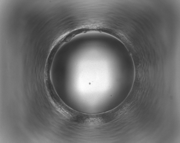 X0000059090536200510101147