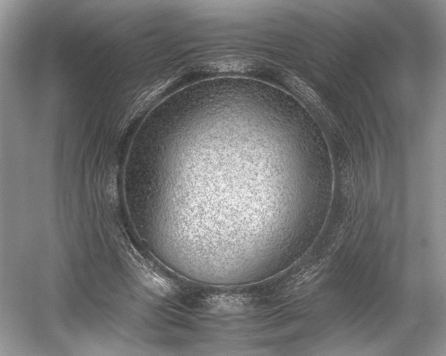 X0000059090537200510101147