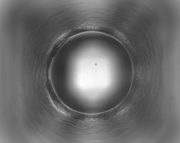 X0000059090538200510101147