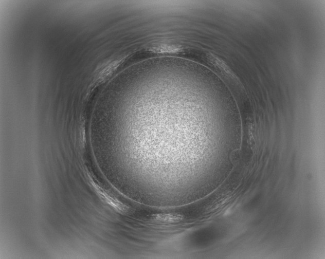 X0000059090541200510101147