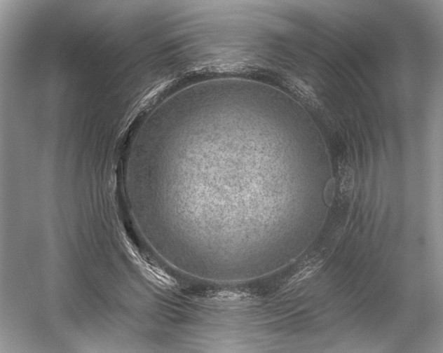 X0000059090542200510101147