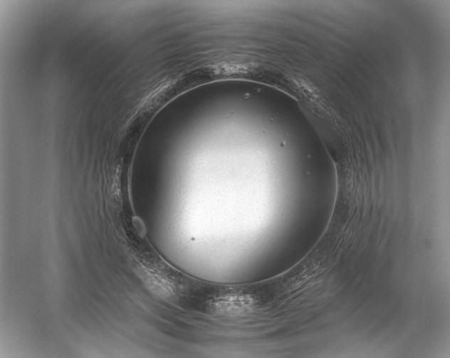 X0000059090543200510101147