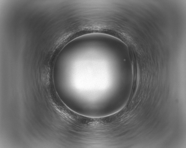 X0000059090544200510101147