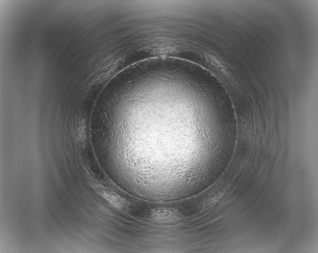 X0000059090549200510101147