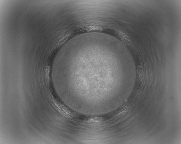 X0000059090550200510101147