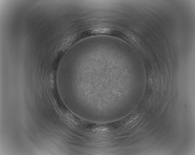 X0000059090551200510101147