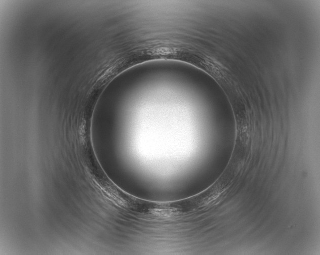 X0000059090556200510101147