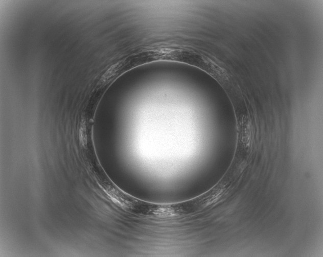 X0000059090562200510101147