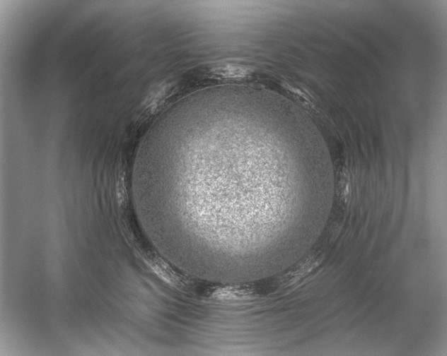 X0000059090568200510101148