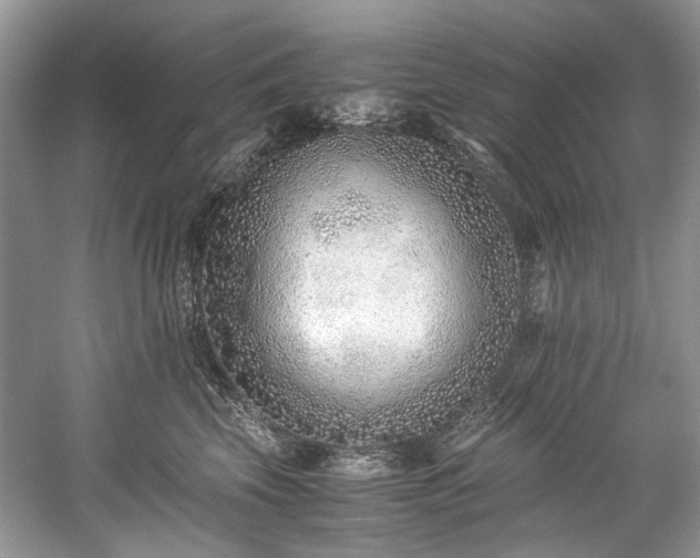 X0000059090569200510101148