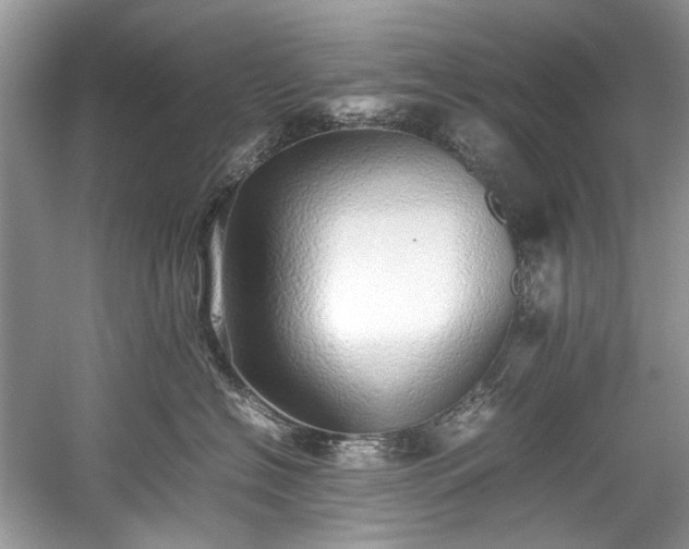 X0000059090574200510101148