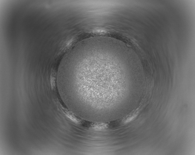 X0000059090576200510101148