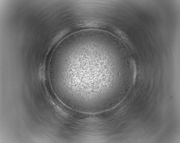 X0000059090578200510101147